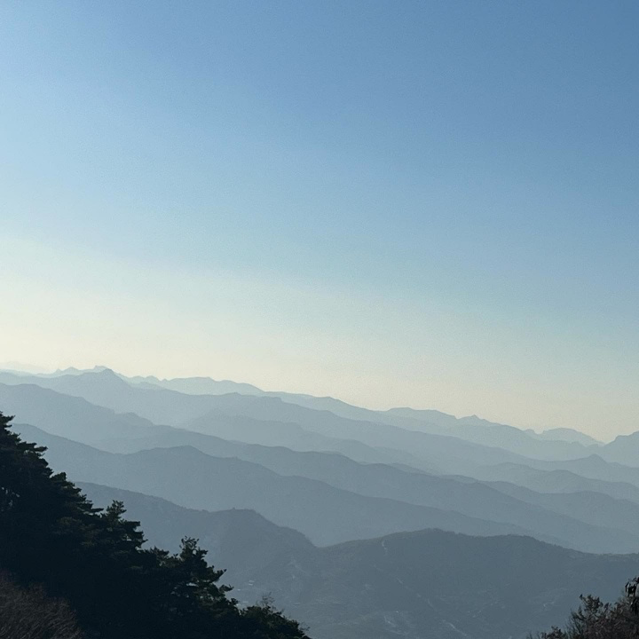 老座钟封面