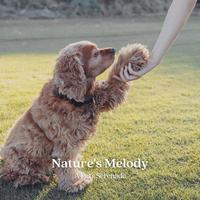 Nature's Melody: A Pet's Serenade