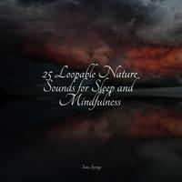 25 Loopable Nature Sounds for Sleep and Mindfulness