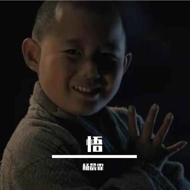 踢出个未来（CV刘德华）封面