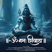 Om Namah Shivay