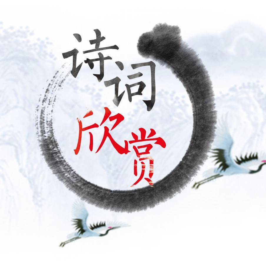 白骨观 - 孤独的枫封面