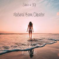 Natural Born Cheater (feat. EDJ) [Radio Edit]