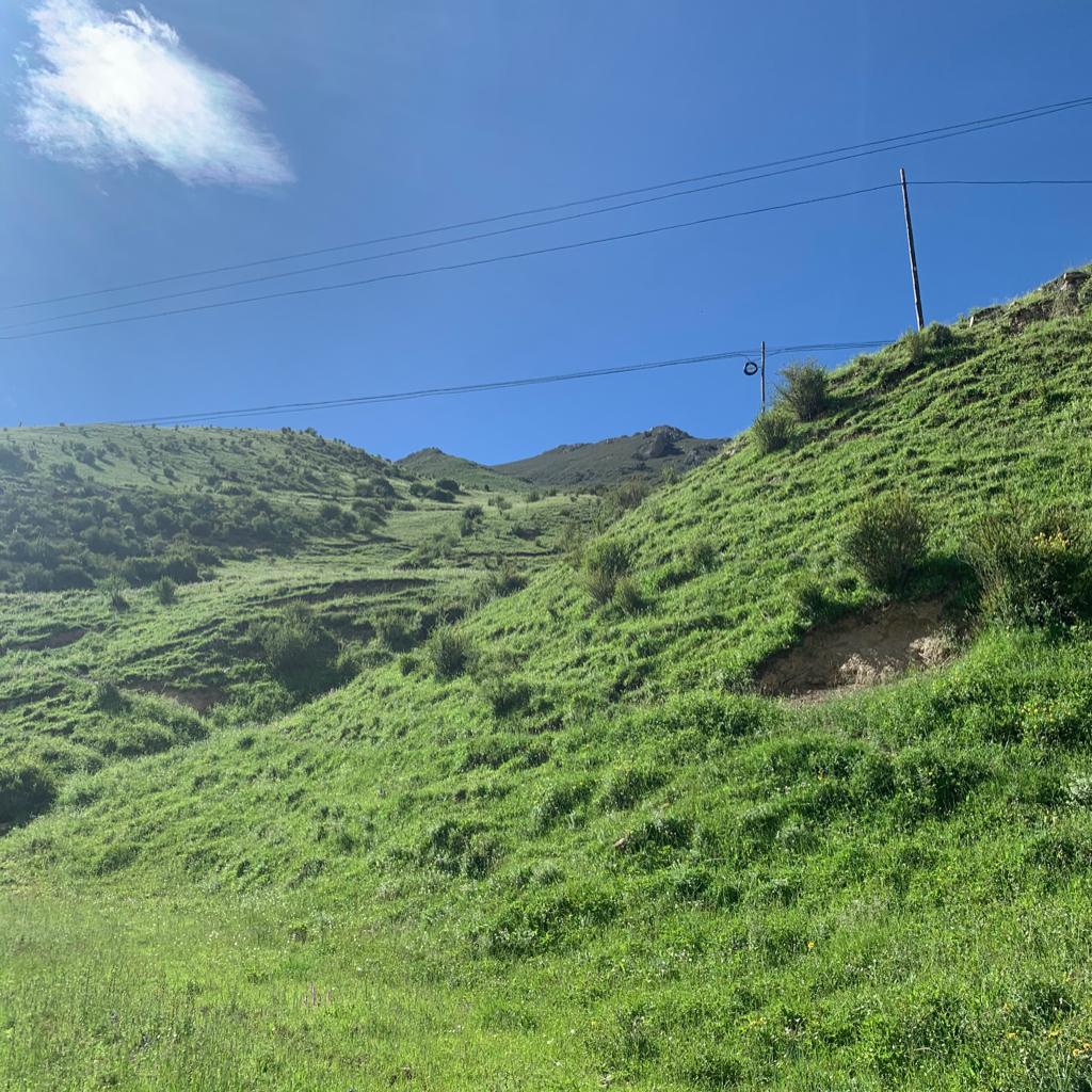 网义云音乐播放器