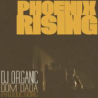 Phoenix Rising