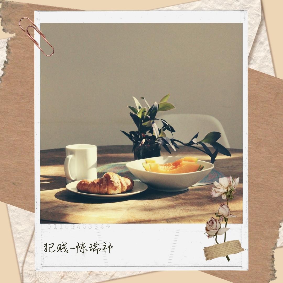 我的楼兰封面