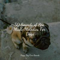 50 Sounds of Spa Music Melodies For Dogs