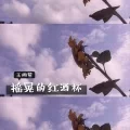 雨的印记 (钢琴)封面