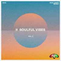 Soulful Vibes Vol. 2