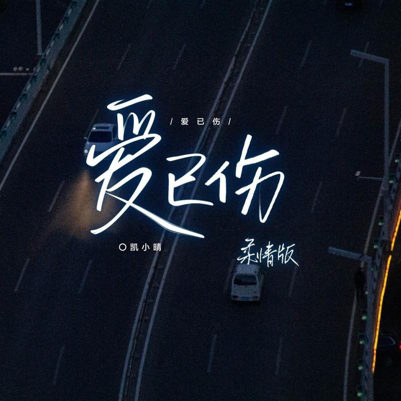 爱已伤(DJ版)封面