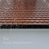 Rain: Perfect for Sleep and Insomnia Vol. 1