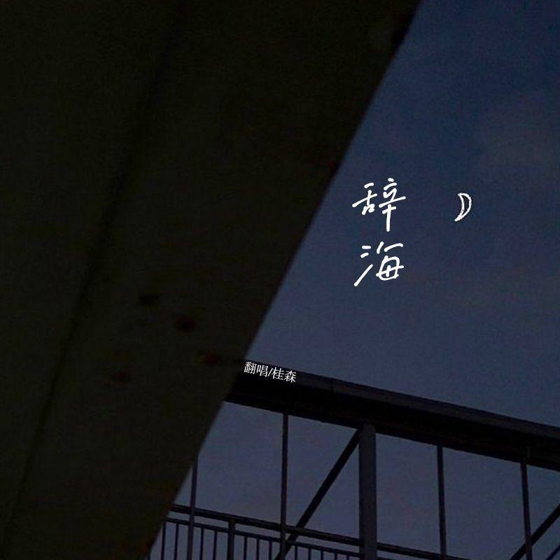 辞海封面