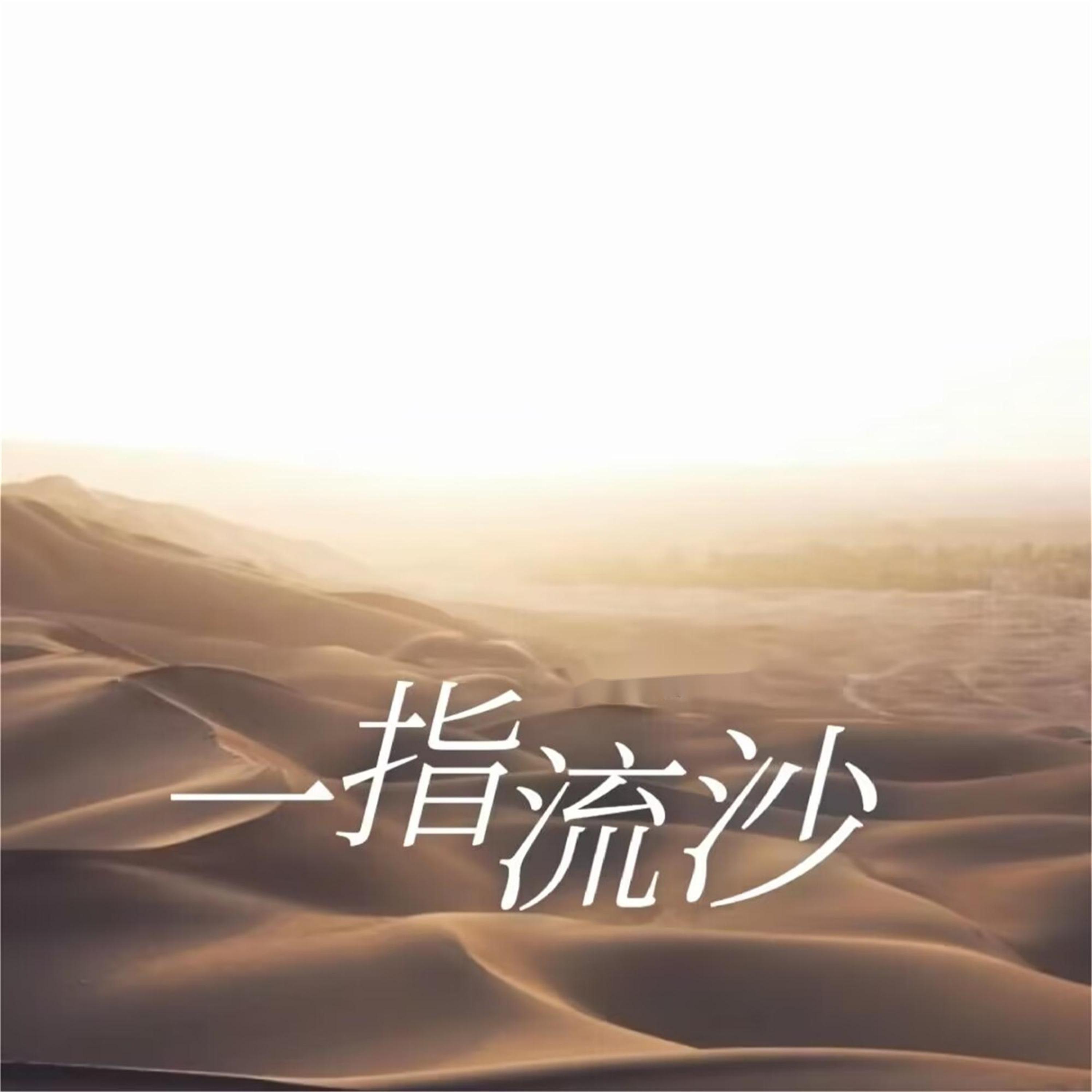 一指流沙封面