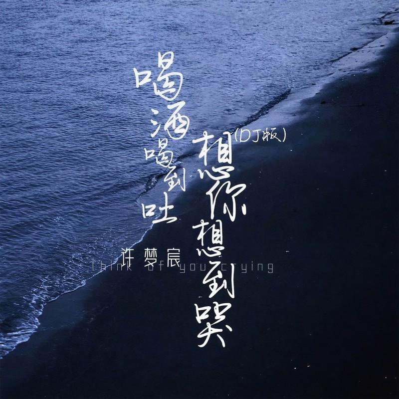 喝酒喝到吐想你想到哭 (DJ版)封面