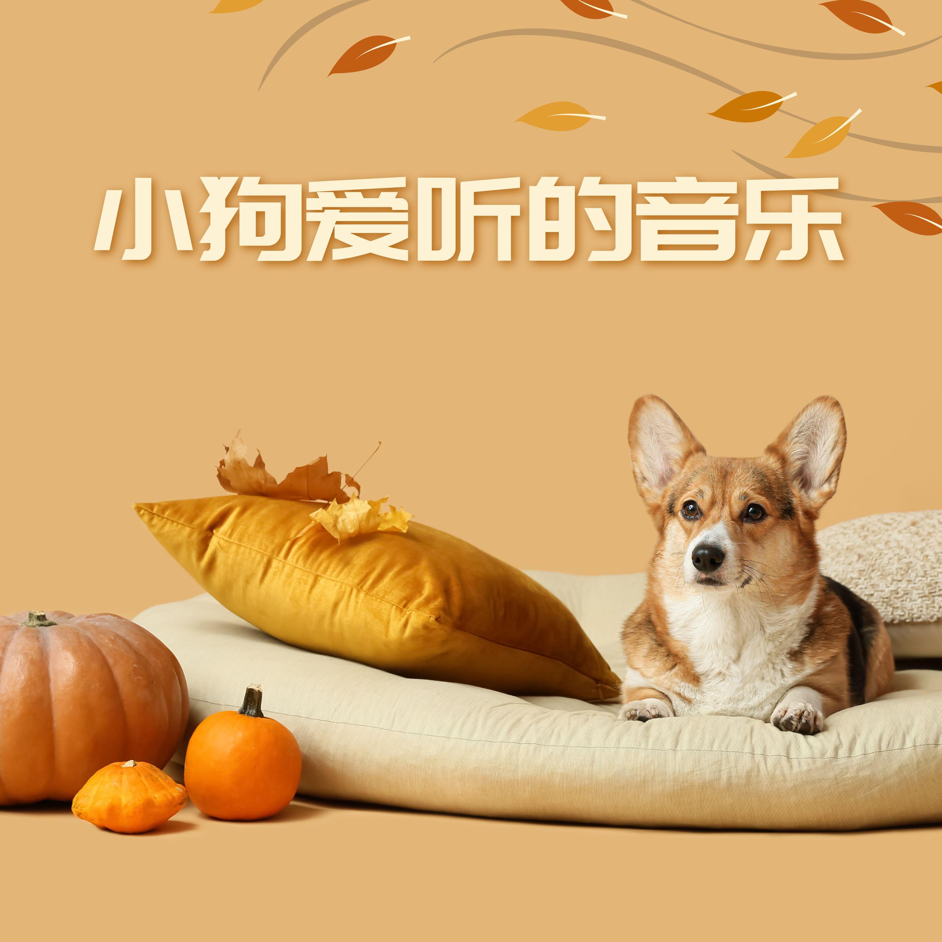 新世纪音乐封面