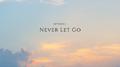 Never Let Go专辑