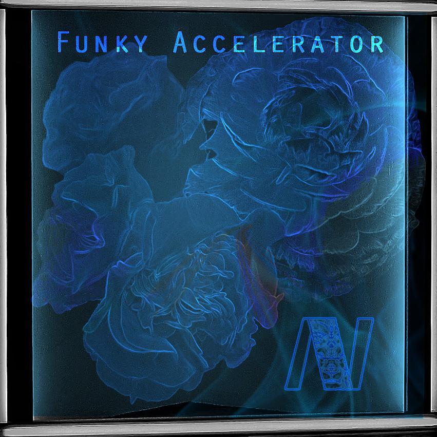 Funky Accelerator (Original Mix)