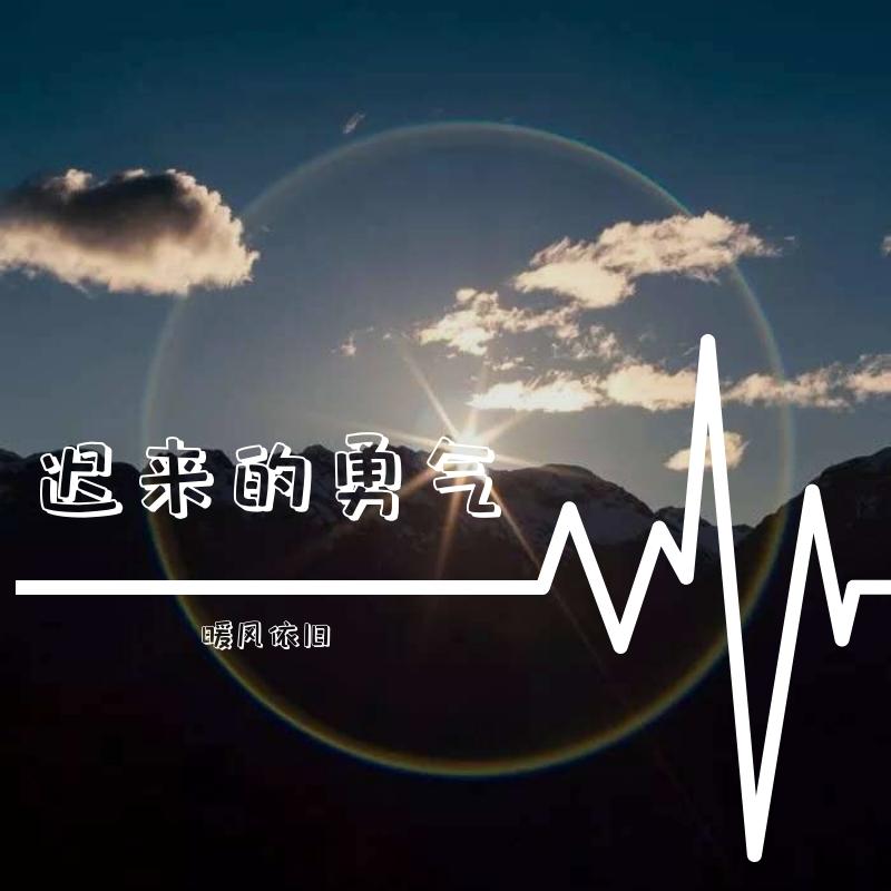 来不及勇敢封面