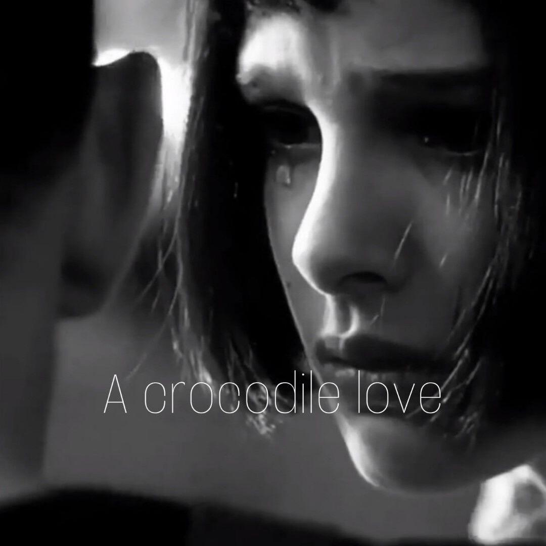 BillieEilish-Lovely（A crocodile love / XsGYn remix） - A crocodile love、DJ镜子封面
