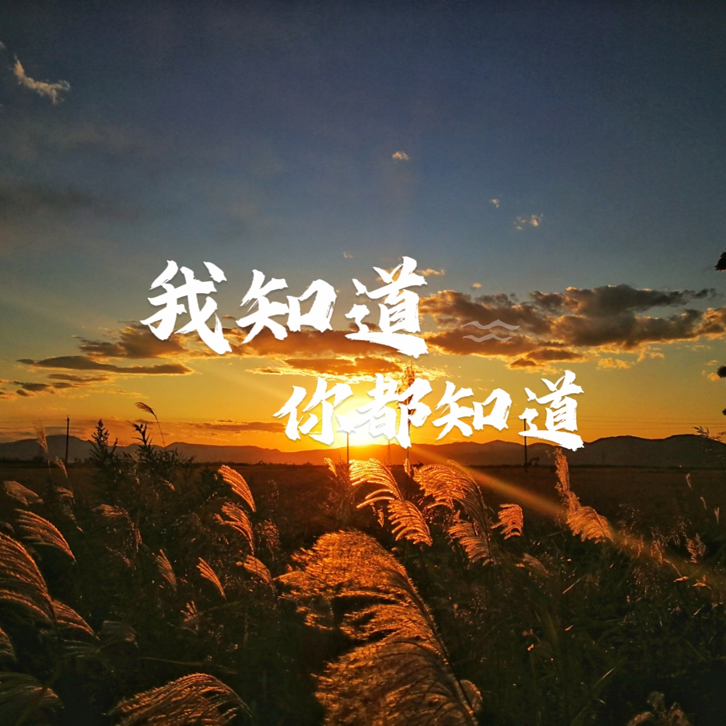 我知道你都知道封面