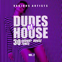 Dudes of House (30 Groovy House Tunes), Vol. 2