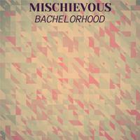 Mischievous Bachelorhood