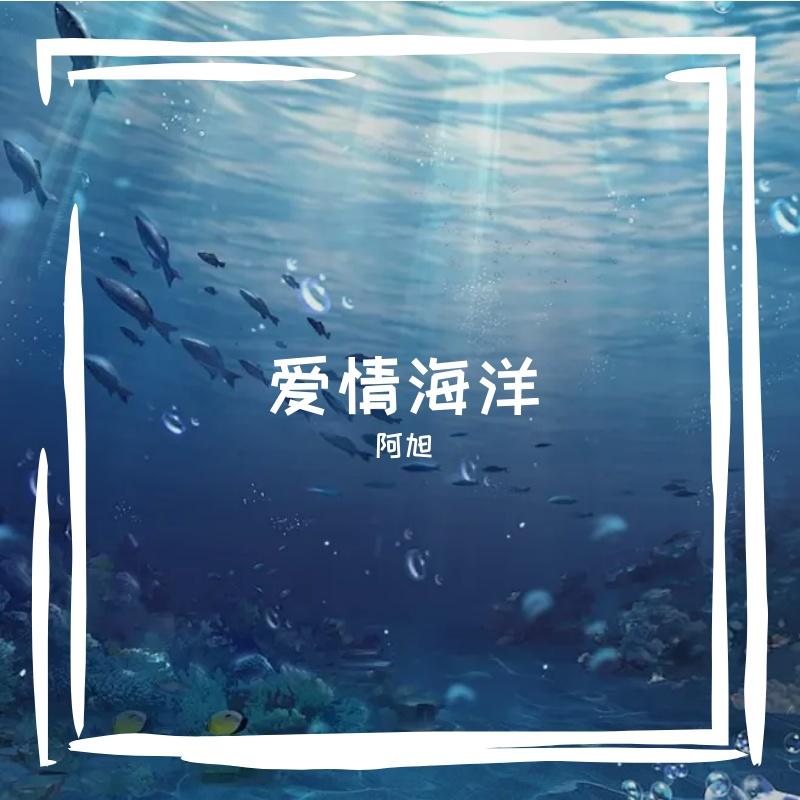 爱情海洋封面