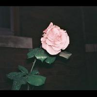 Aromantic