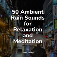 50 Ambient Rain Sounds for Relaxation and Meditation