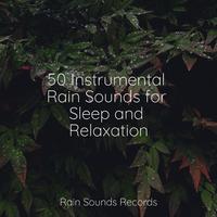 50 Instrumental Rain Sounds for Sleep and Relaxation