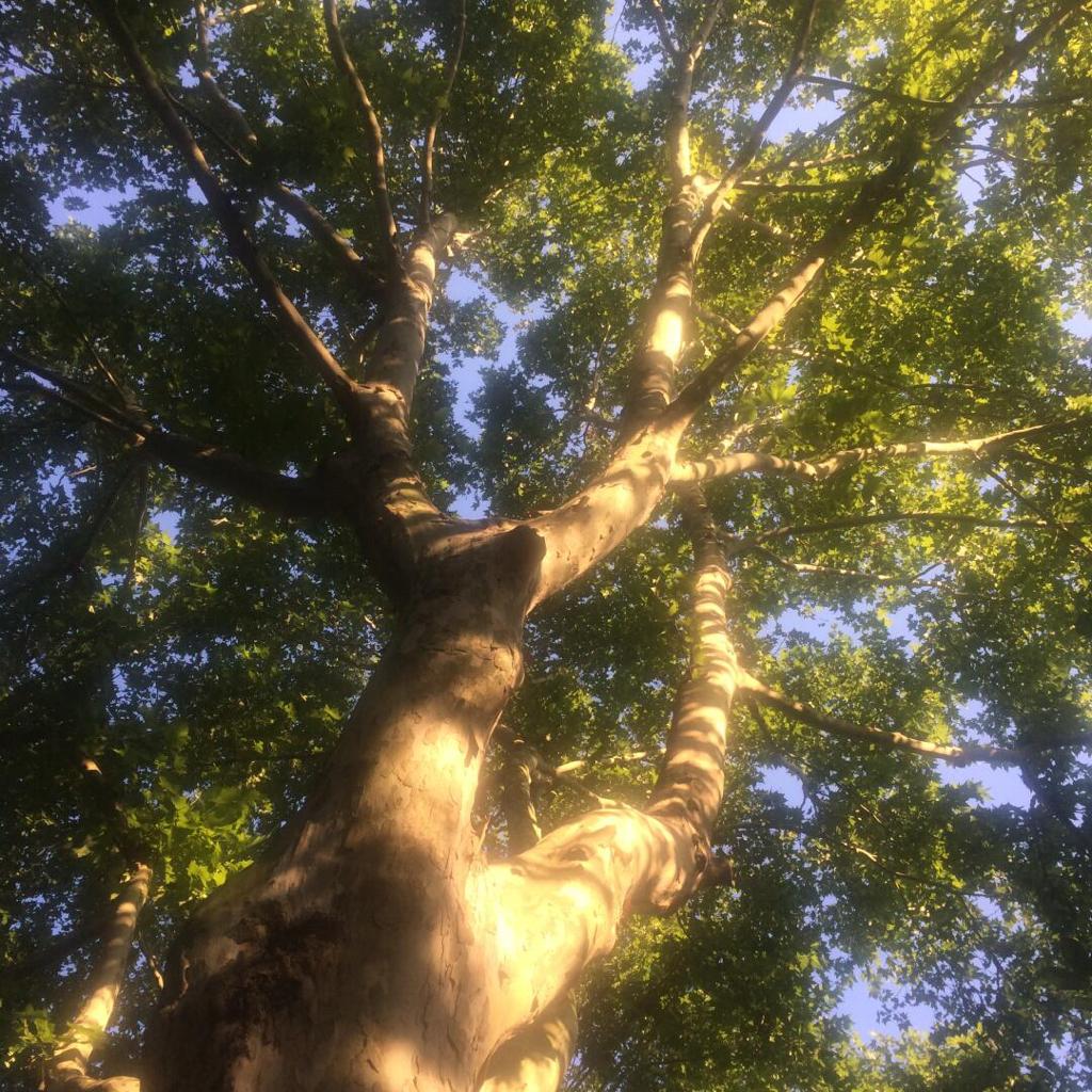 做了个很幸福的梦