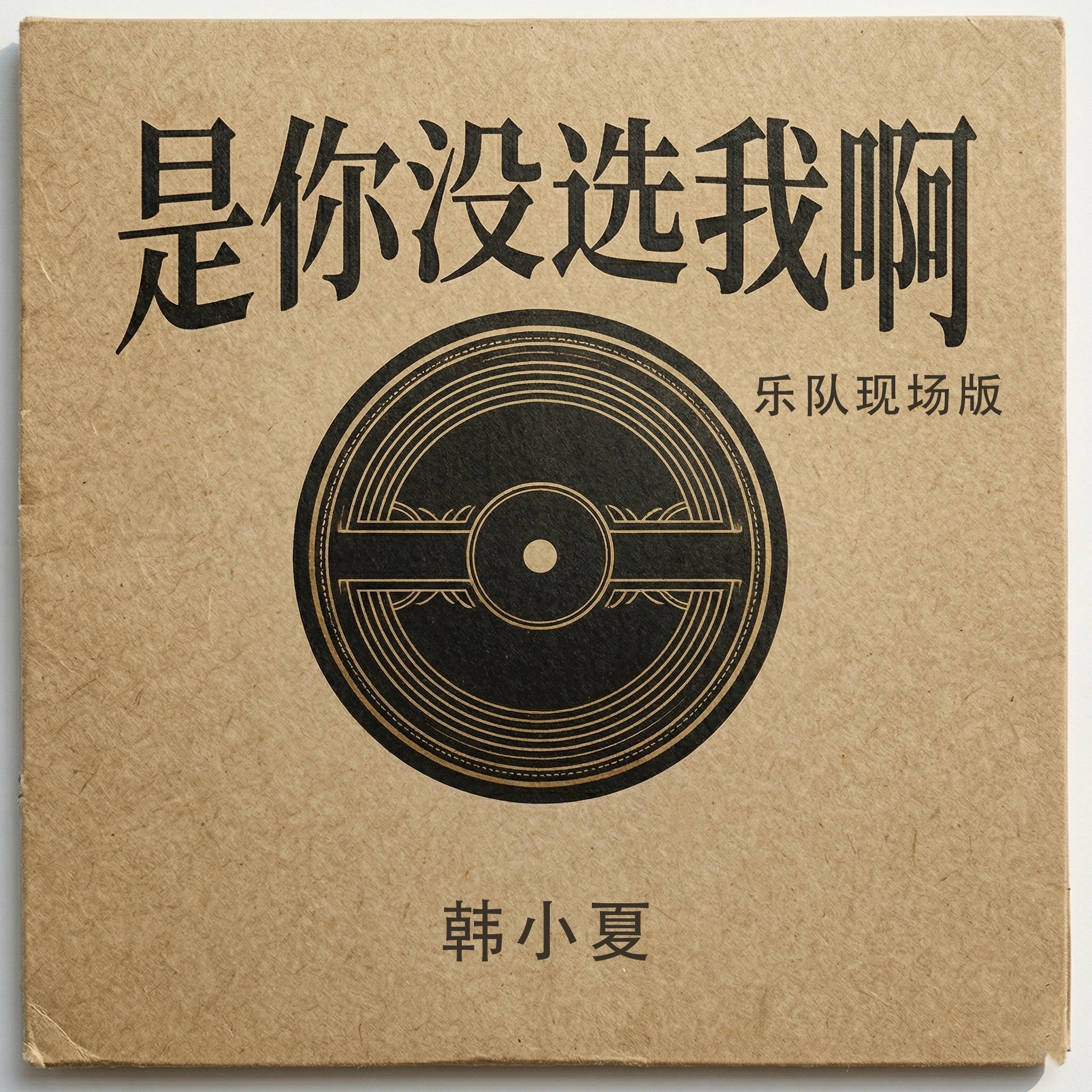 是你没选我啊(乐队现场版)封面