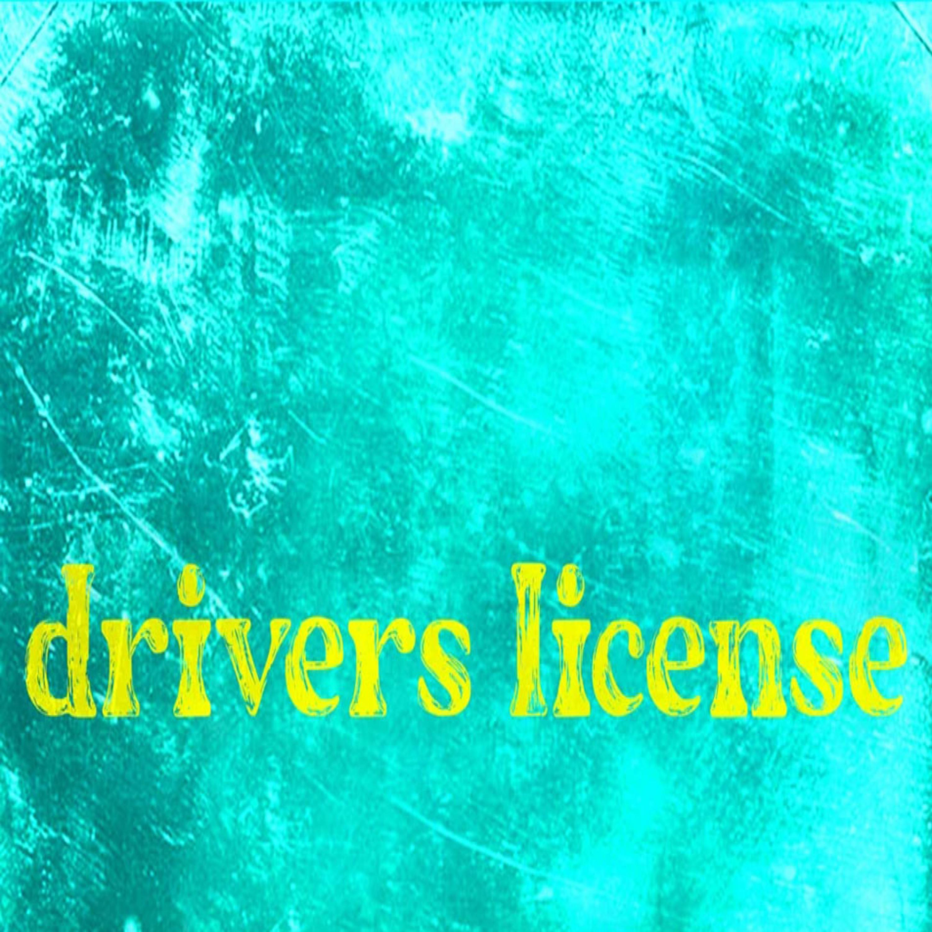 Drivers License