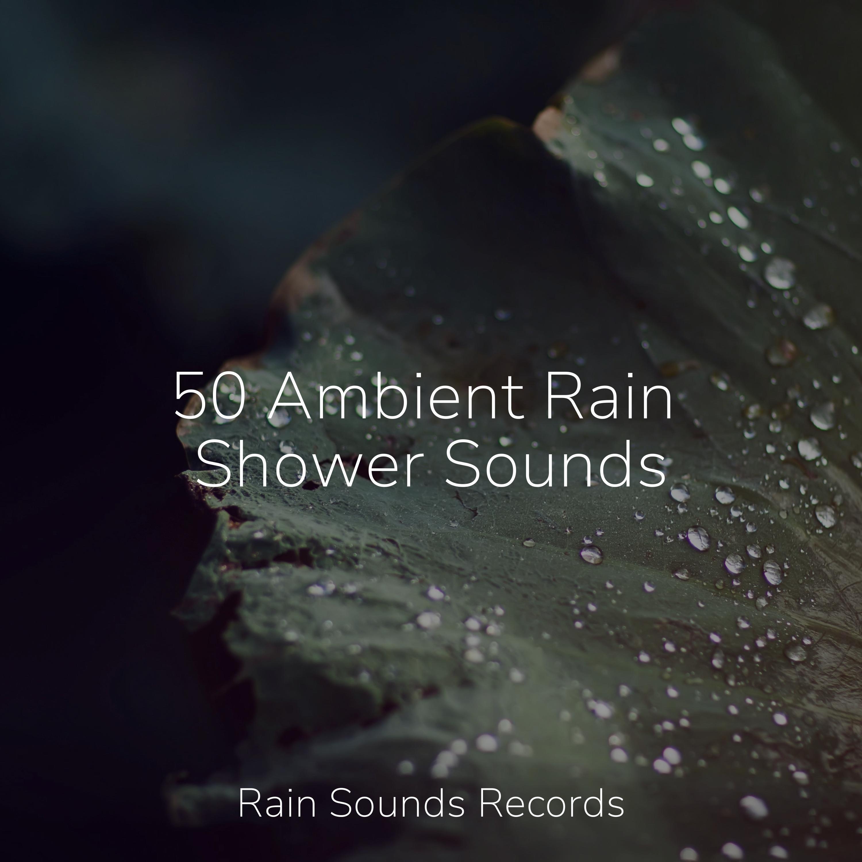 50 Ambient Rain Shower Sounds Relaxed Minds 专辑 网易云音乐
