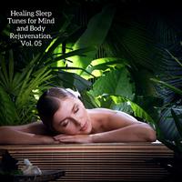 Healing Sleep Tunes for Mind and Body Rejuvenation, Vol. 05