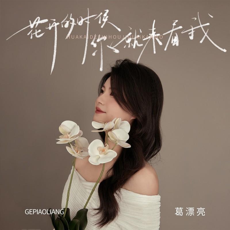 花开的时候你就来看我 - 葛漂亮封面