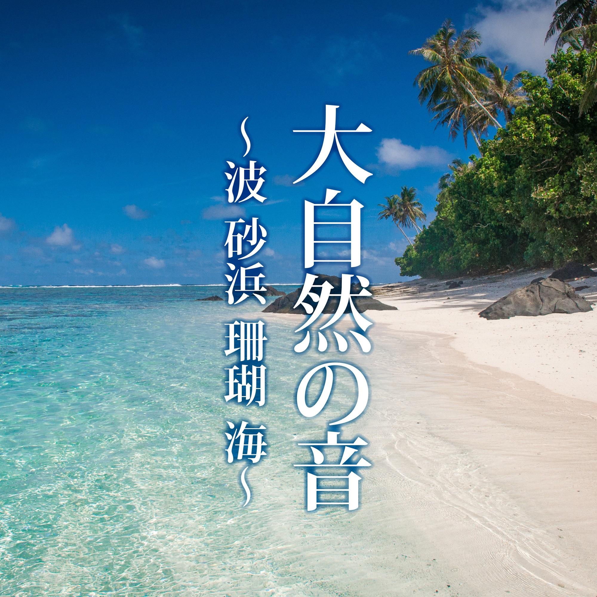 与論島 ハキビナ海岸の珊瑚のかけら封面