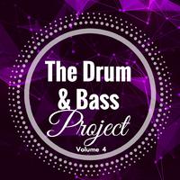 The Drum and Bass Project - Volume 4