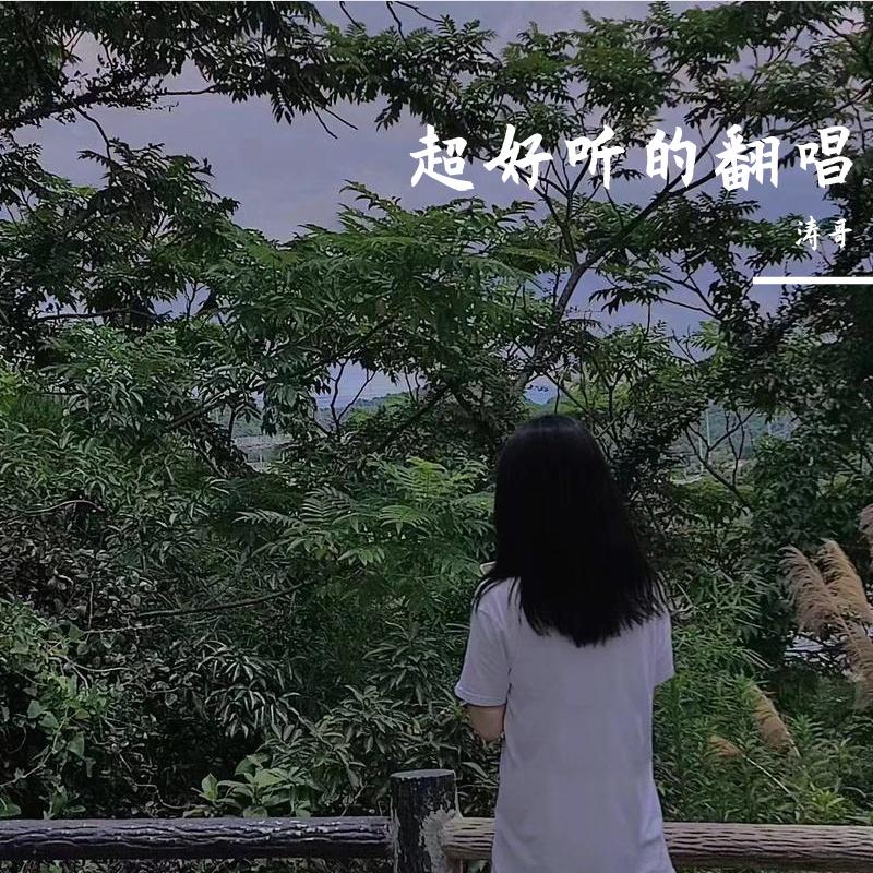 你的答案 - 涛哥封面