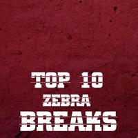 Top 10 Zebra Breaks