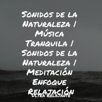 Sonidos de la Naturaleza | Música Tranquila | Sonidos de la Naturaleza | Meditación Enfoque Relajación