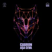 Aşa Ceva