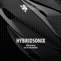 Hybridsonix