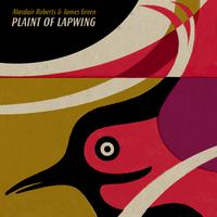 Plaint of Lapwing