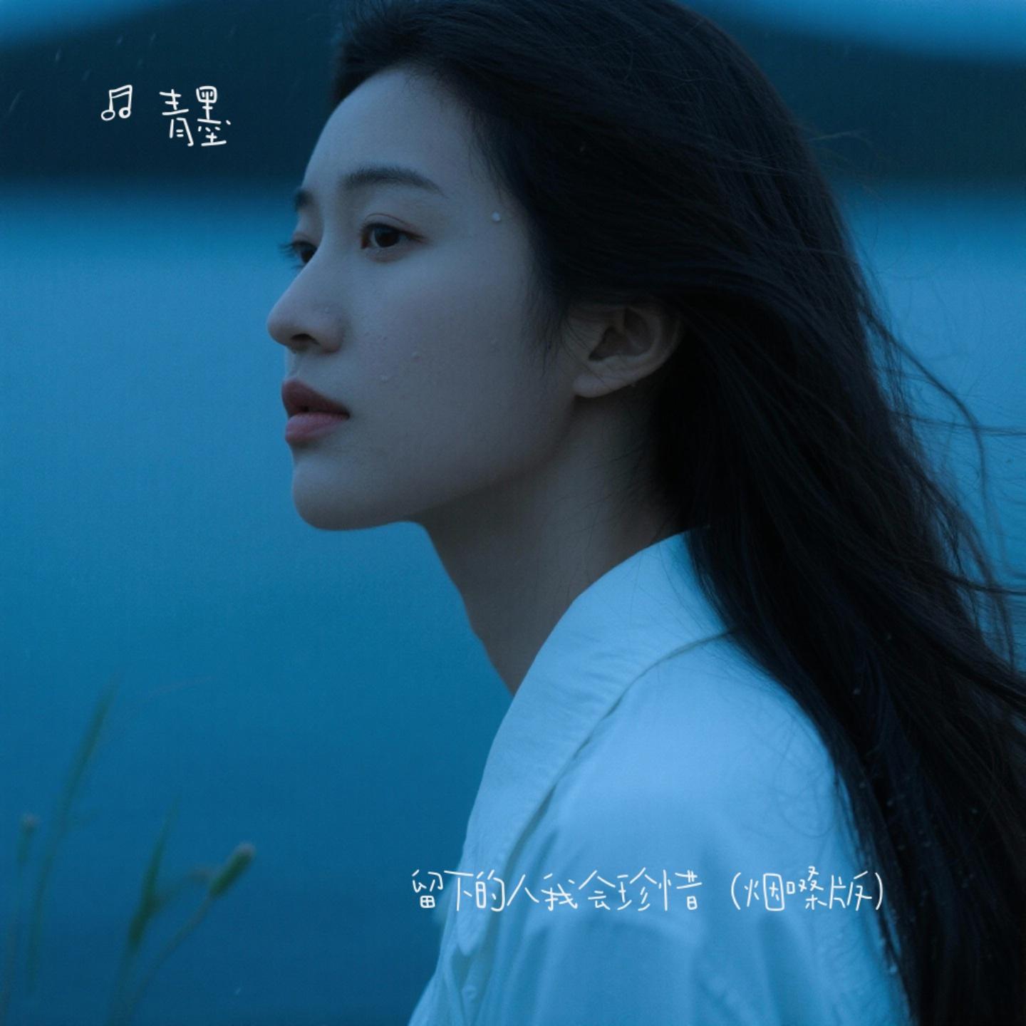 留下的人我会珍惜（烟嗓版）封面