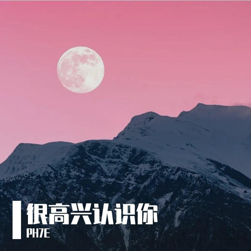 很高兴认识你封面