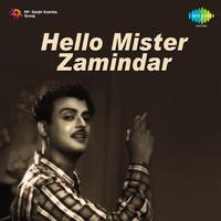 Hello Mister Zamindar