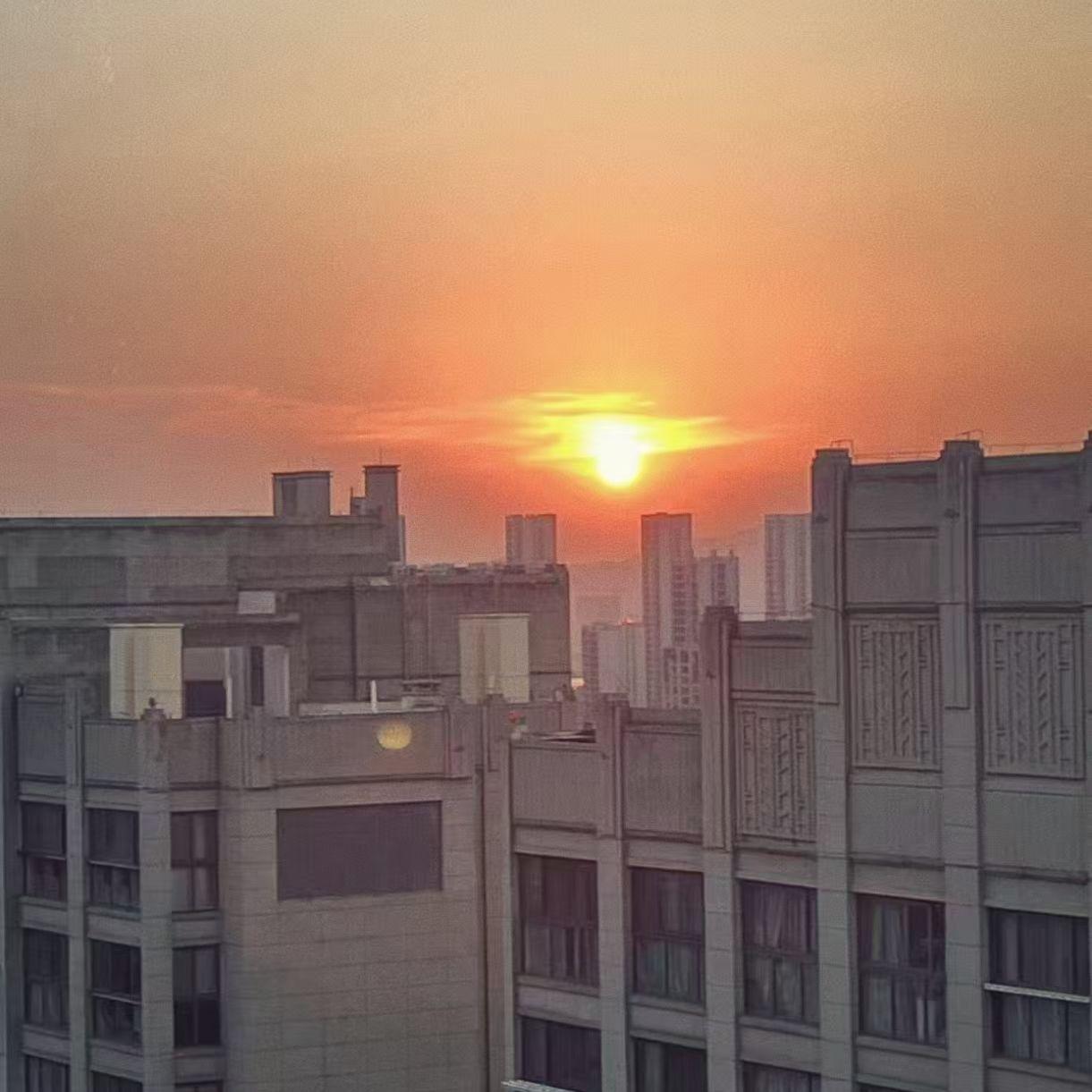 海芋恋·2022封面