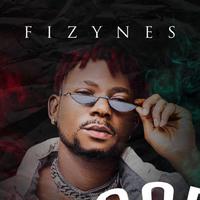 Fizynes