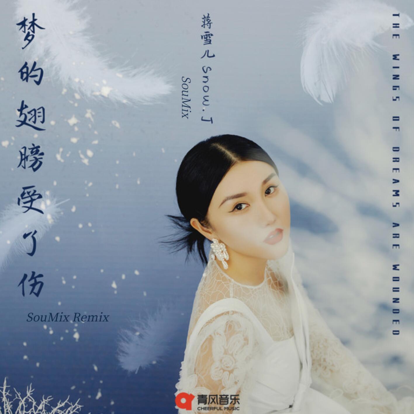 梦的翅膀受了伤 (SouMix Remix)
